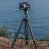 Falcam TreeRoot Carbon Fiber Quick Lock Travel Tripod with Inverted Ball Head