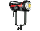 Aputure Light Storm LS C300D II LED Light Kit with V-Mount Battery Plate
